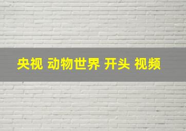 央视 动物世界 开头 视频